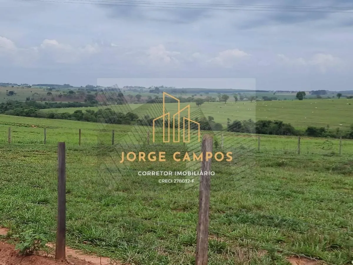 Fazenda à venda de 300 ha em Paraíso, SP, Brasil