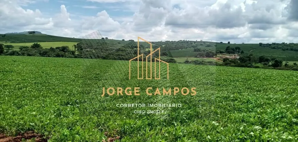 Fazenda à venda de 300 ha em Paraíso, SP, Brasil