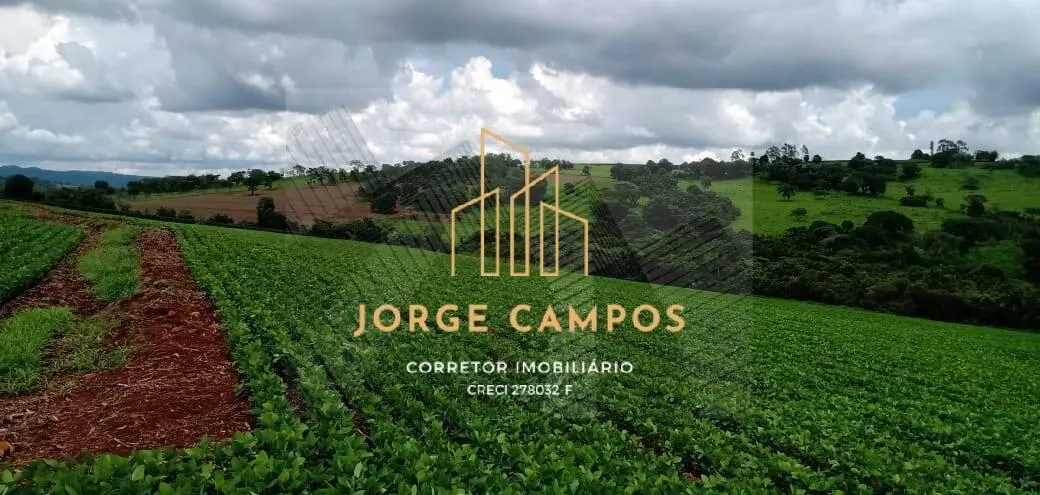 Fazenda à venda de 300 ha em Paraíso, SP, Brasil