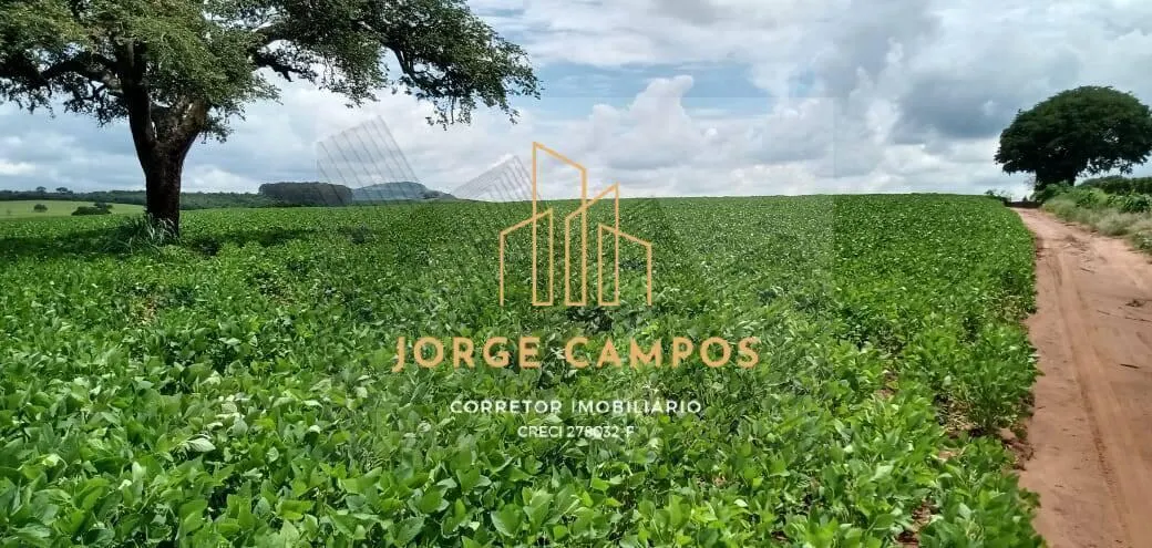 Fazenda à venda de 300 ha em Paraíso, SP, Brasil