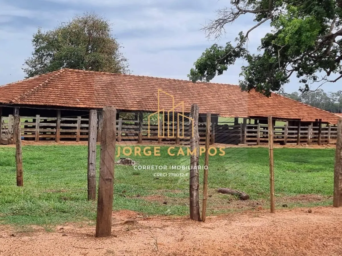 Fazenda à venda de 300 ha em Paraíso, SP, Brasil
