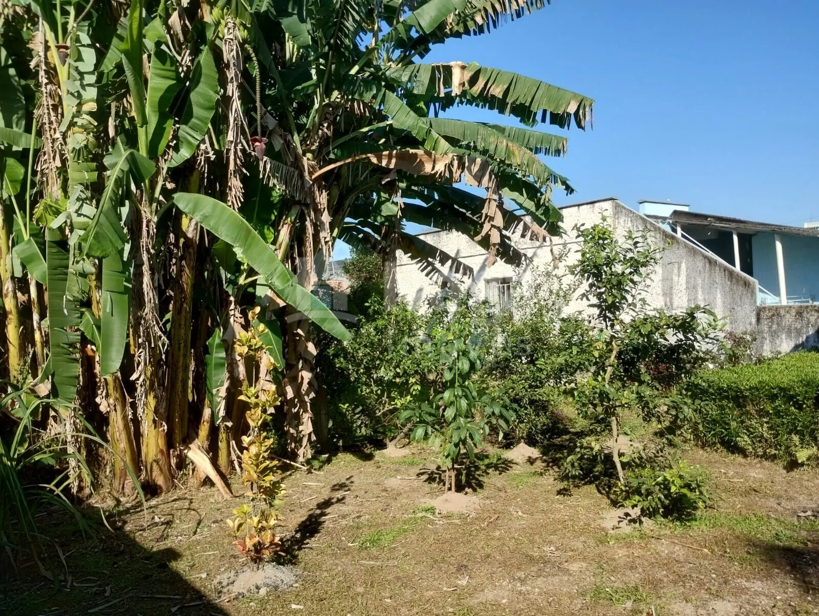 Casa à venda de 1.161 m² em Brusque, SC, Brasil