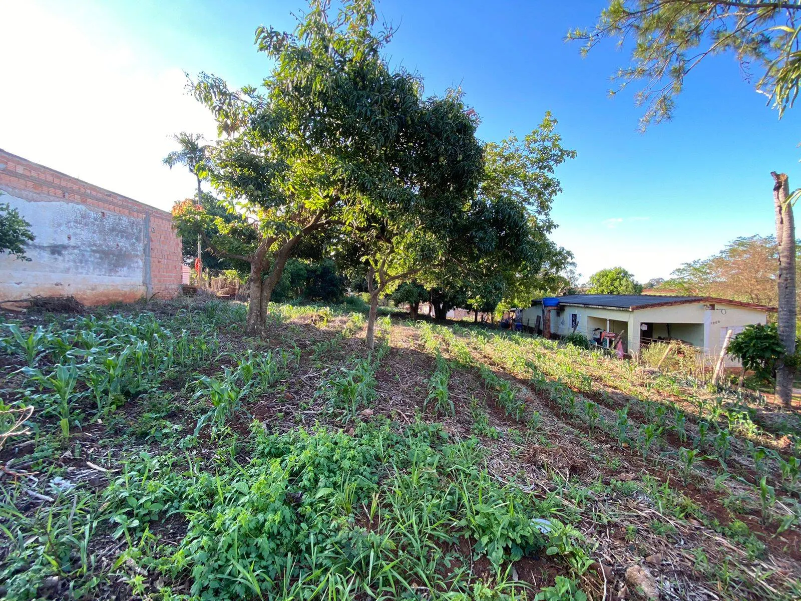 Plot for sale of 1,000 m² in Piraju, SP, Brazil
