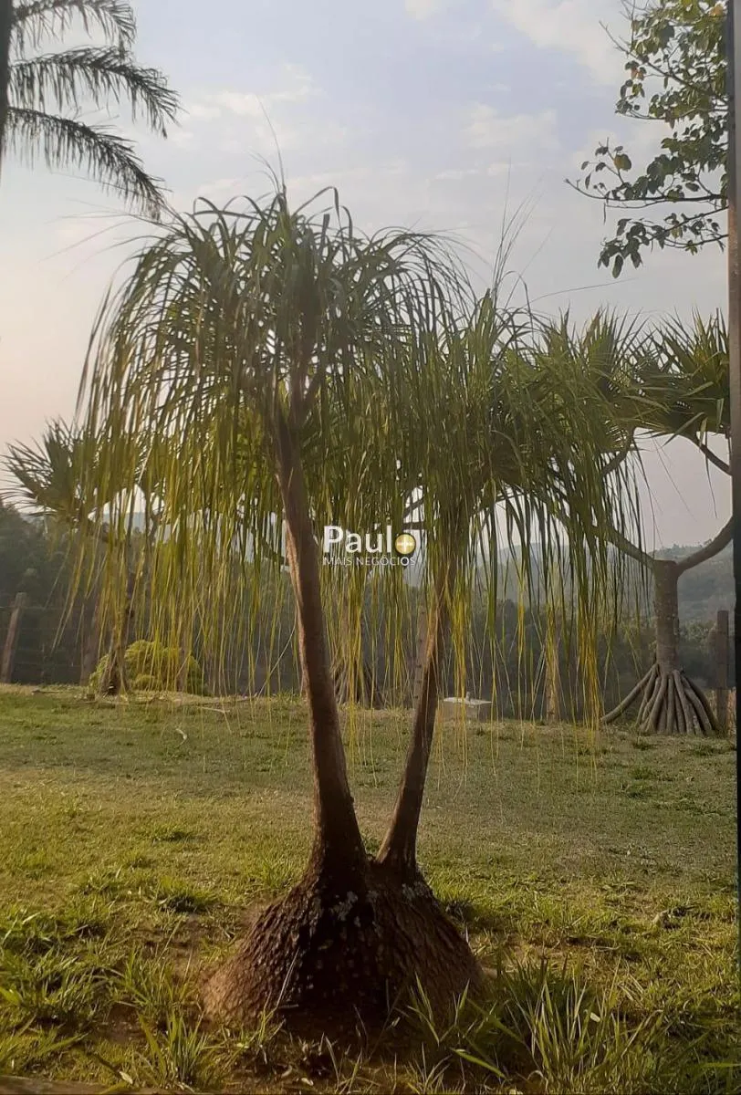 Sítio à venda de 9 ha em Campinas, SP, Brasil
