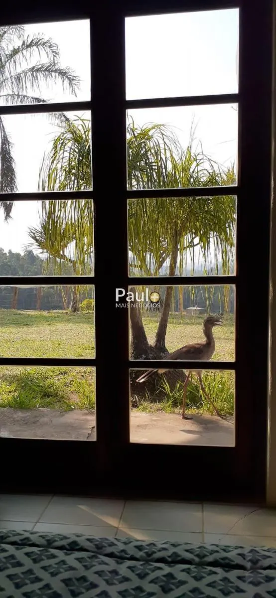 Sítio à venda de 9 ha em Campinas, SP, Brasil