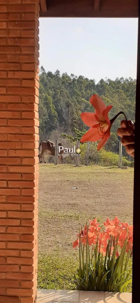 Sítio à venda de 9 ha em Campinas, SP, Brasil