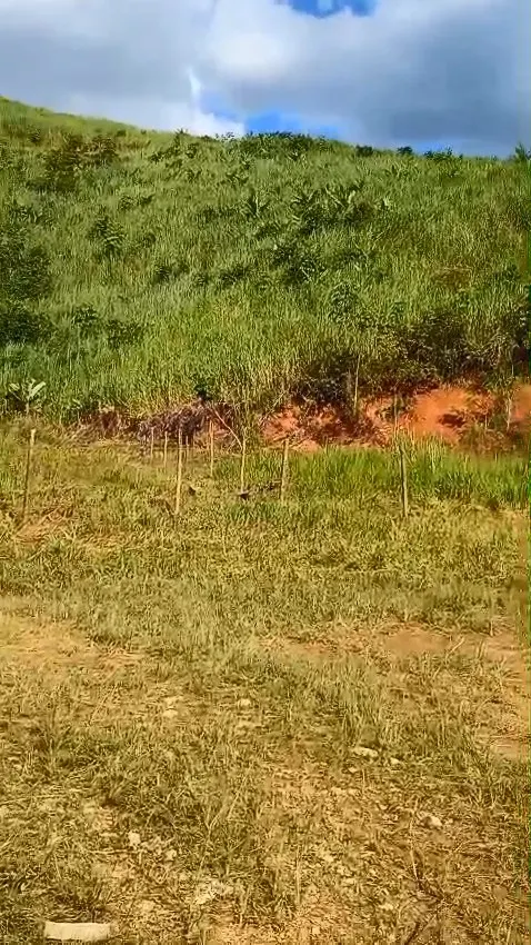 Small farm for sale of 141 acres in Sorocaba, SP, Brazil