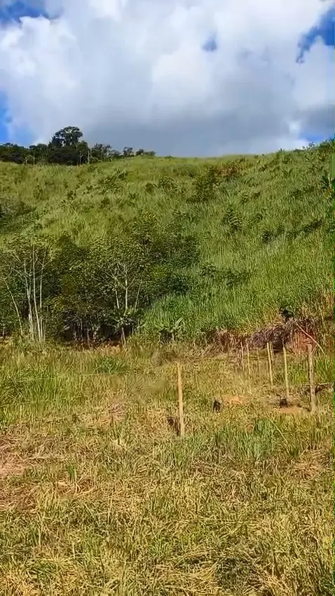 Small farm for sale of 141 acres in Sorocaba, SP, Brazil