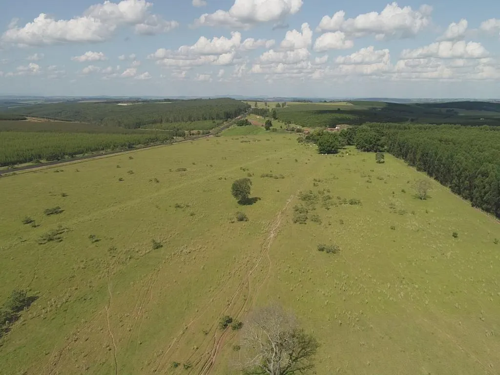Fazenda à venda de 235 ha em Botucatu, SP, Brasil