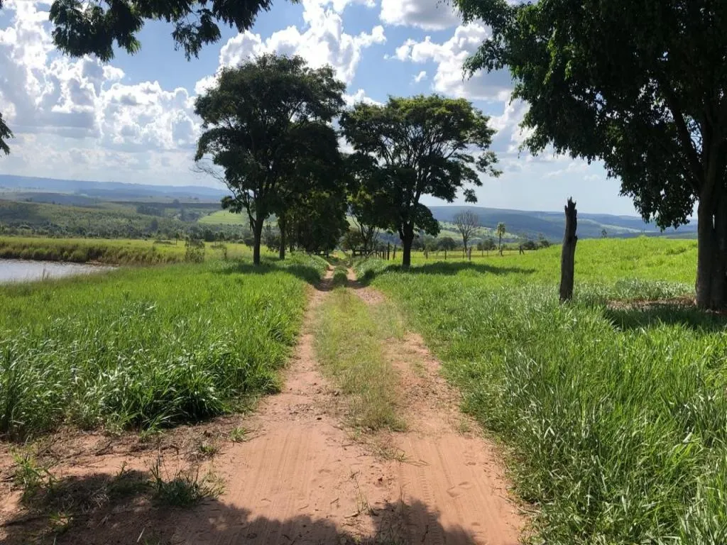 Fazenda à venda de 235 ha em Botucatu, SP, Brasil
