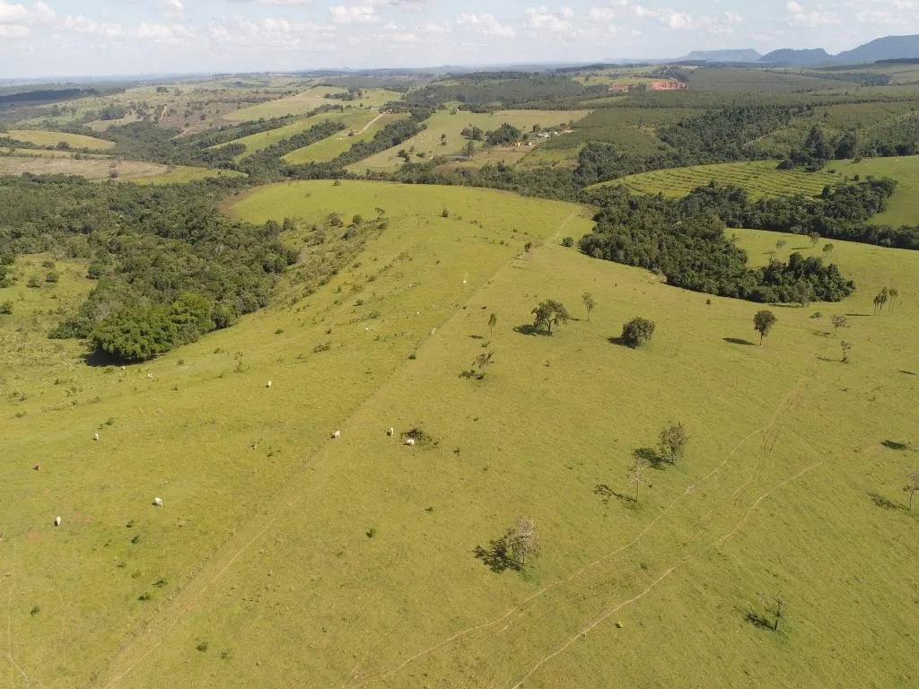 Fazenda à venda de 235 ha em Botucatu, SP, Brasil