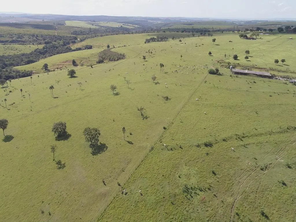 Fazenda à venda de 235 ha em Botucatu, SP, Brasil
