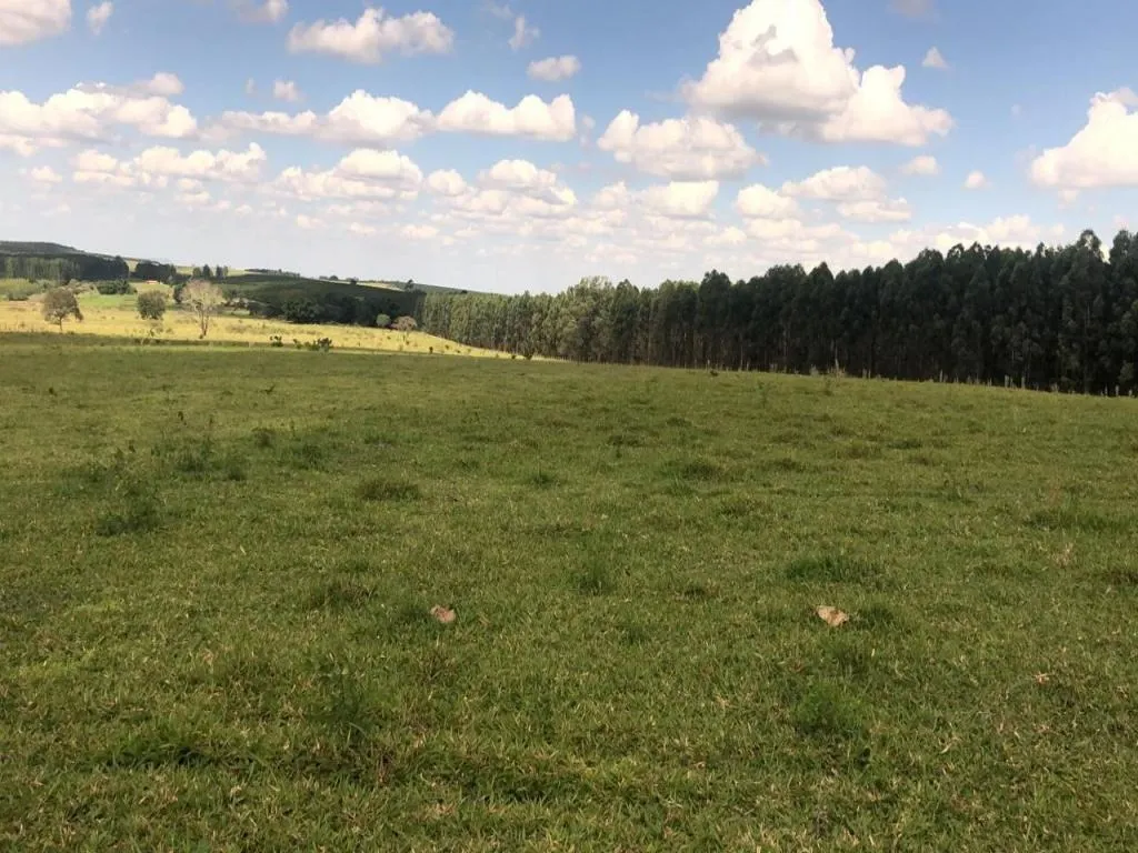 Fazenda à venda de 235 ha em Botucatu, SP, Brasil