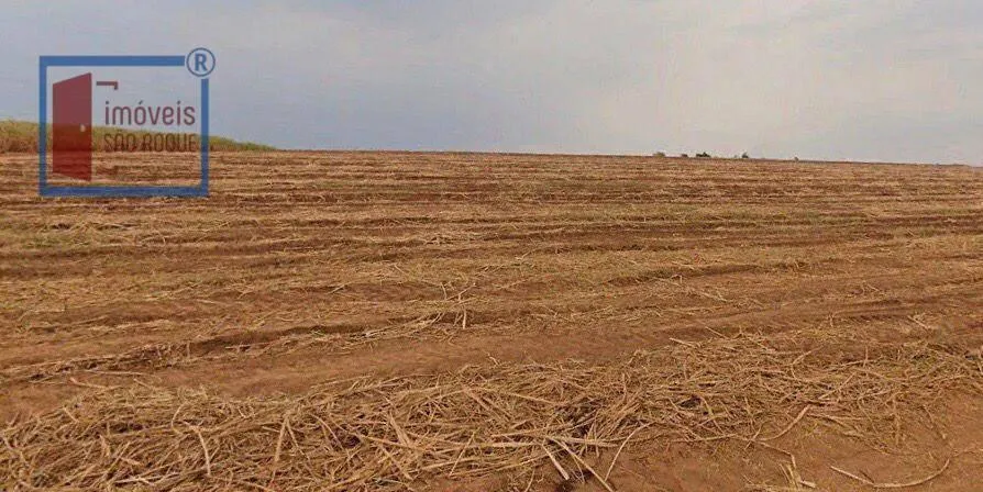 Fazenda à venda de 387 ha em Porto Feliz, SP, Brasil