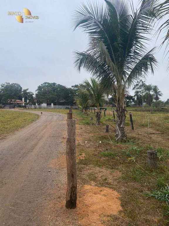 Fazenda à venda de 265 ha em Jangada, MT, Brasil