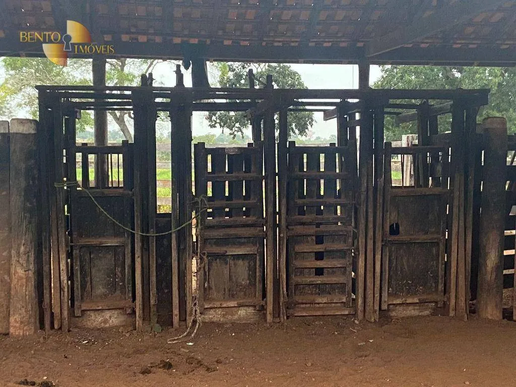 Fazenda à venda de 265 ha em Jangada, MT, Brasil