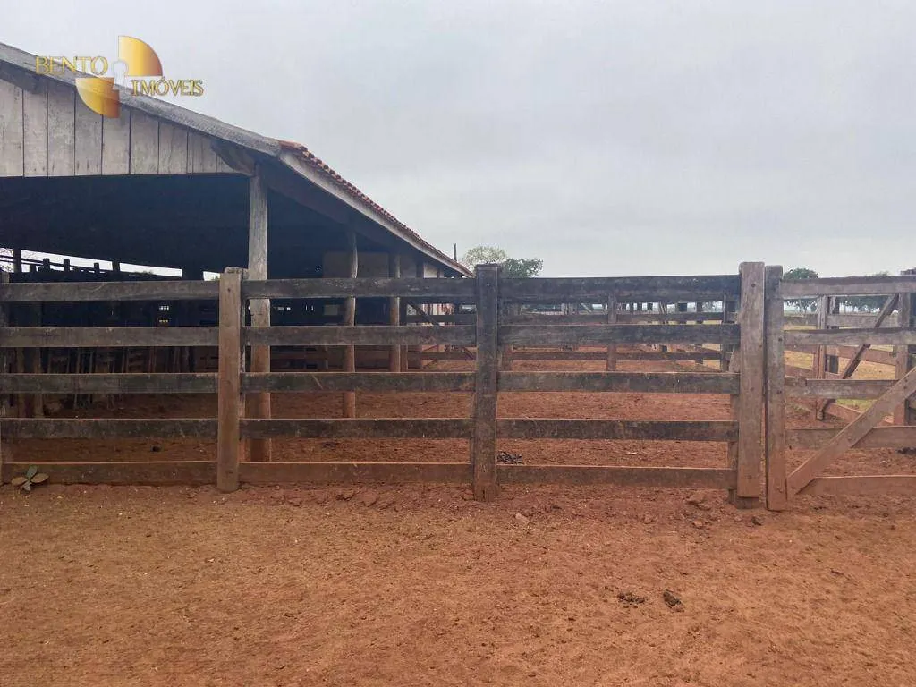 Fazenda à venda de 265 ha em Jangada, MT, Brasil