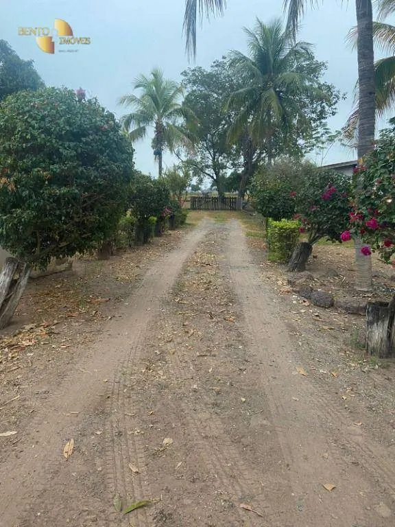 Fazenda à venda de 265 ha em Jangada, MT, Brasil