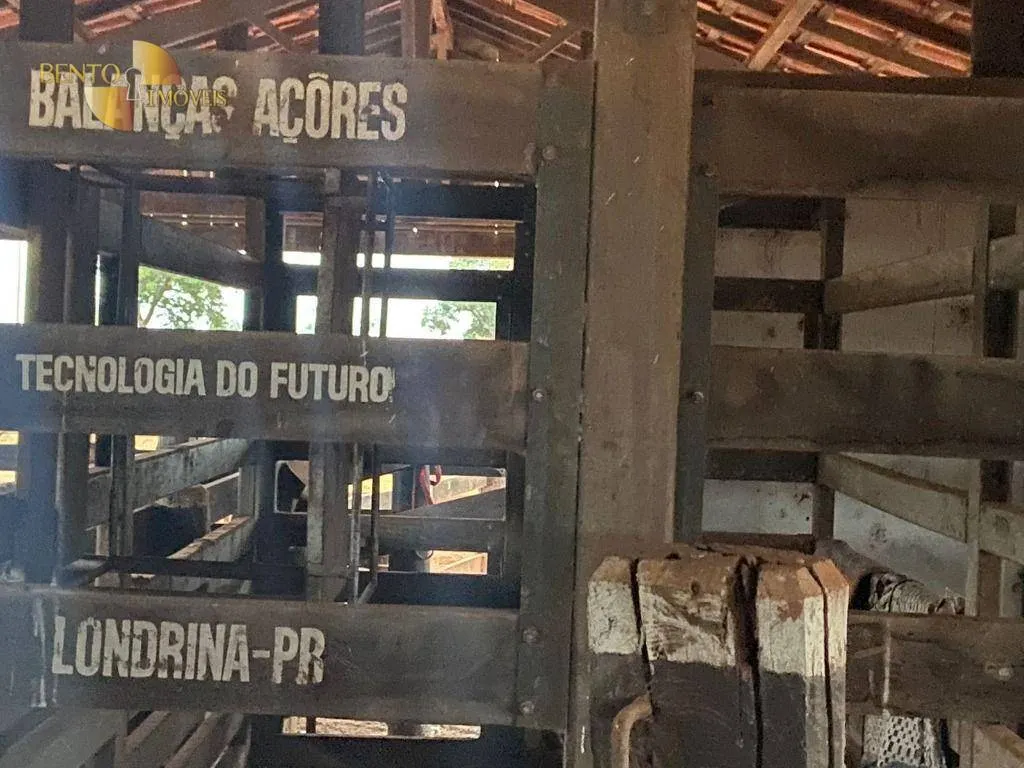 Fazenda à venda de 265 ha em Jangada, MT, Brasil