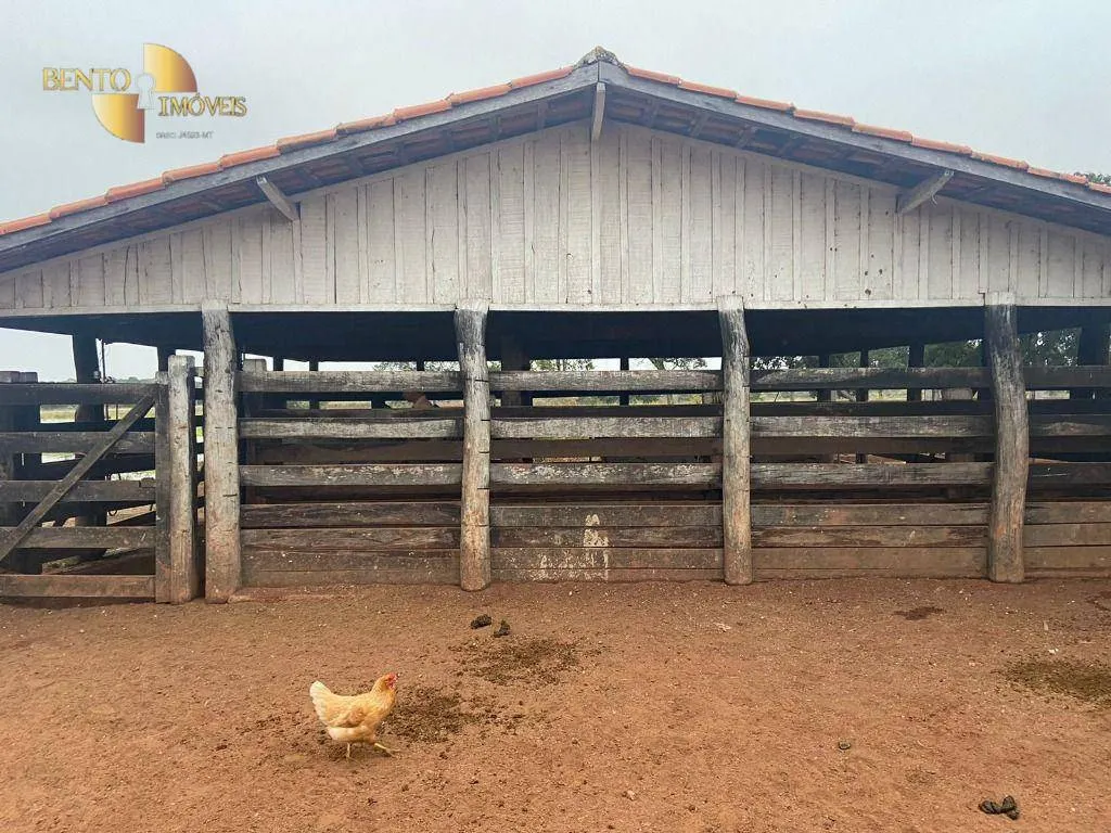 Fazenda à venda de 265 ha em Jangada, MT, Brasil