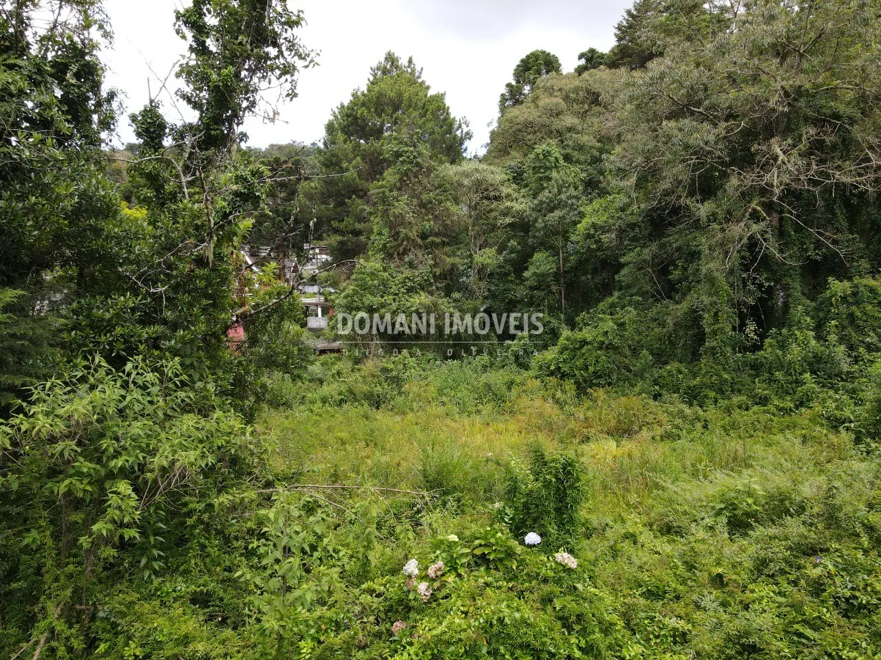 Terreno à venda de 1.200 m² em Campos do Jordão, SP, Brasil
