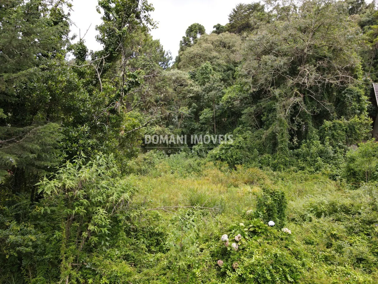 Terreno à venda de 1.200 m² em Campos do Jordão, SP, Brasil