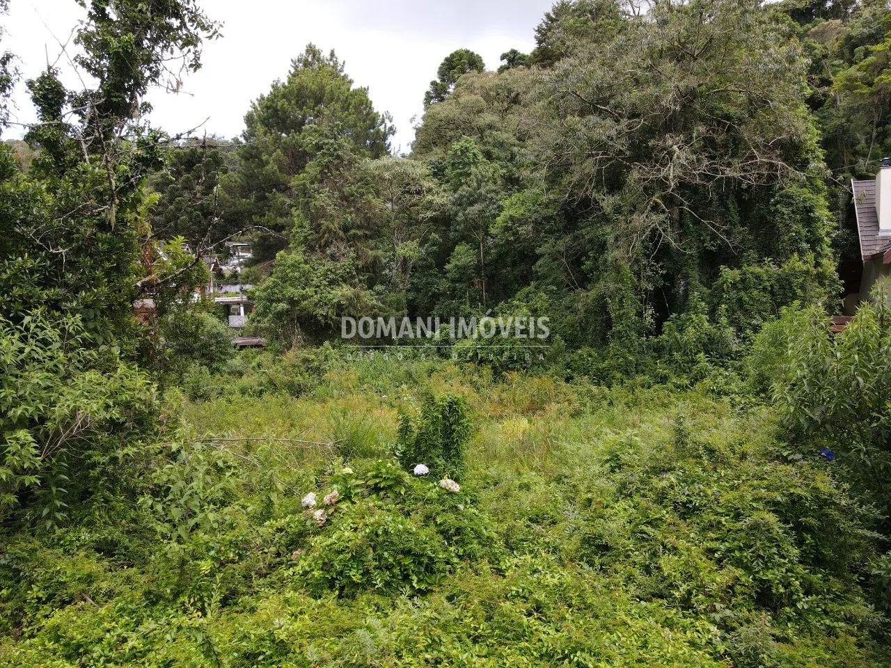 Terreno à venda de 1.200 m² em Campos do Jordão, SP, Brasil