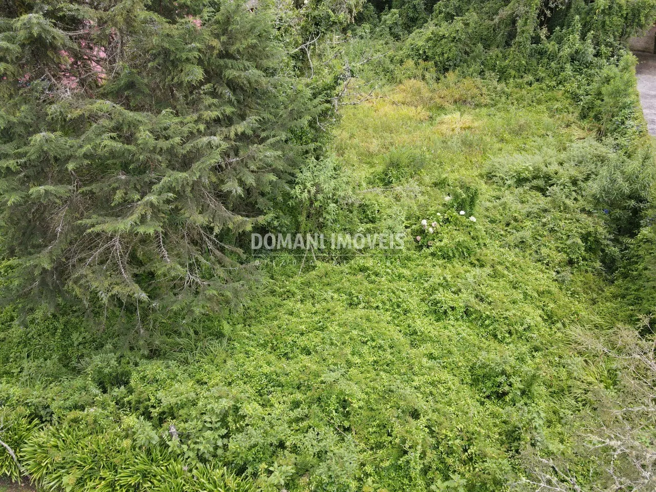Terreno à venda de 1.200 m² em Campos do Jordão, SP, Brasil