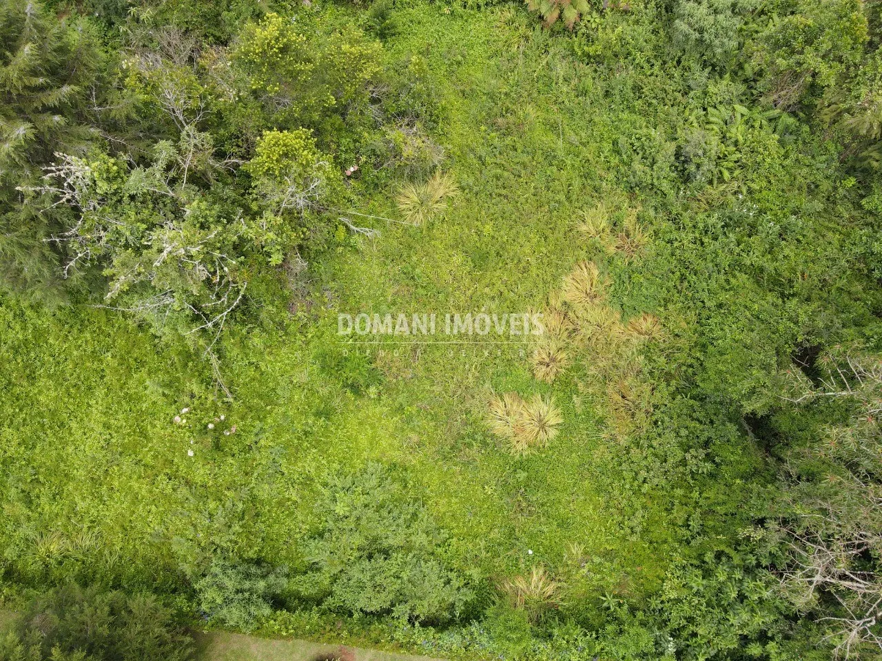 Terreno à venda de 1.200 m² em Campos do Jordão, SP, Brasil