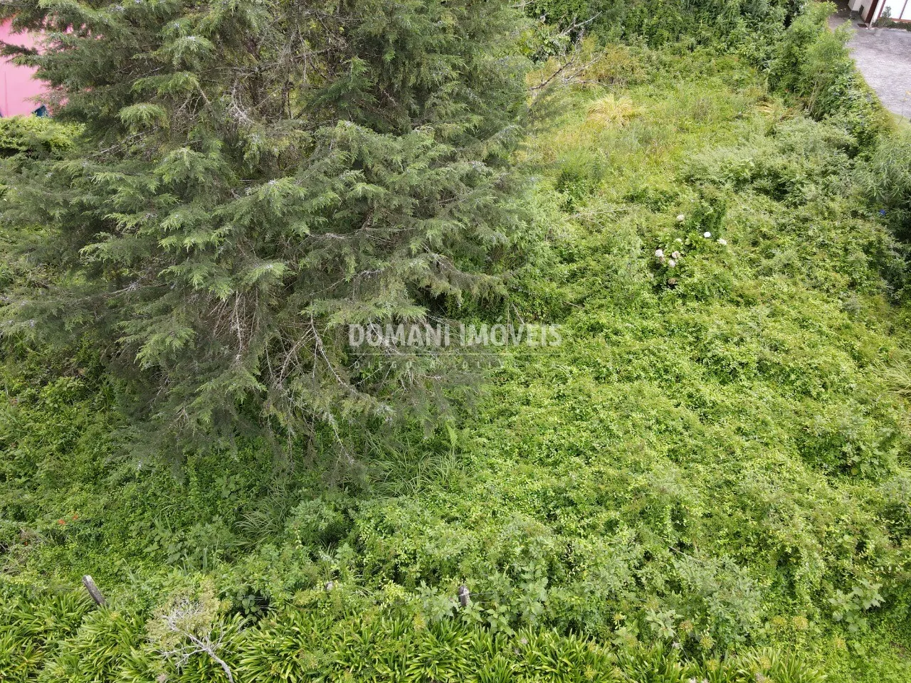 Terreno à venda de 1.200 m² em Campos do Jordão, SP, Brasil