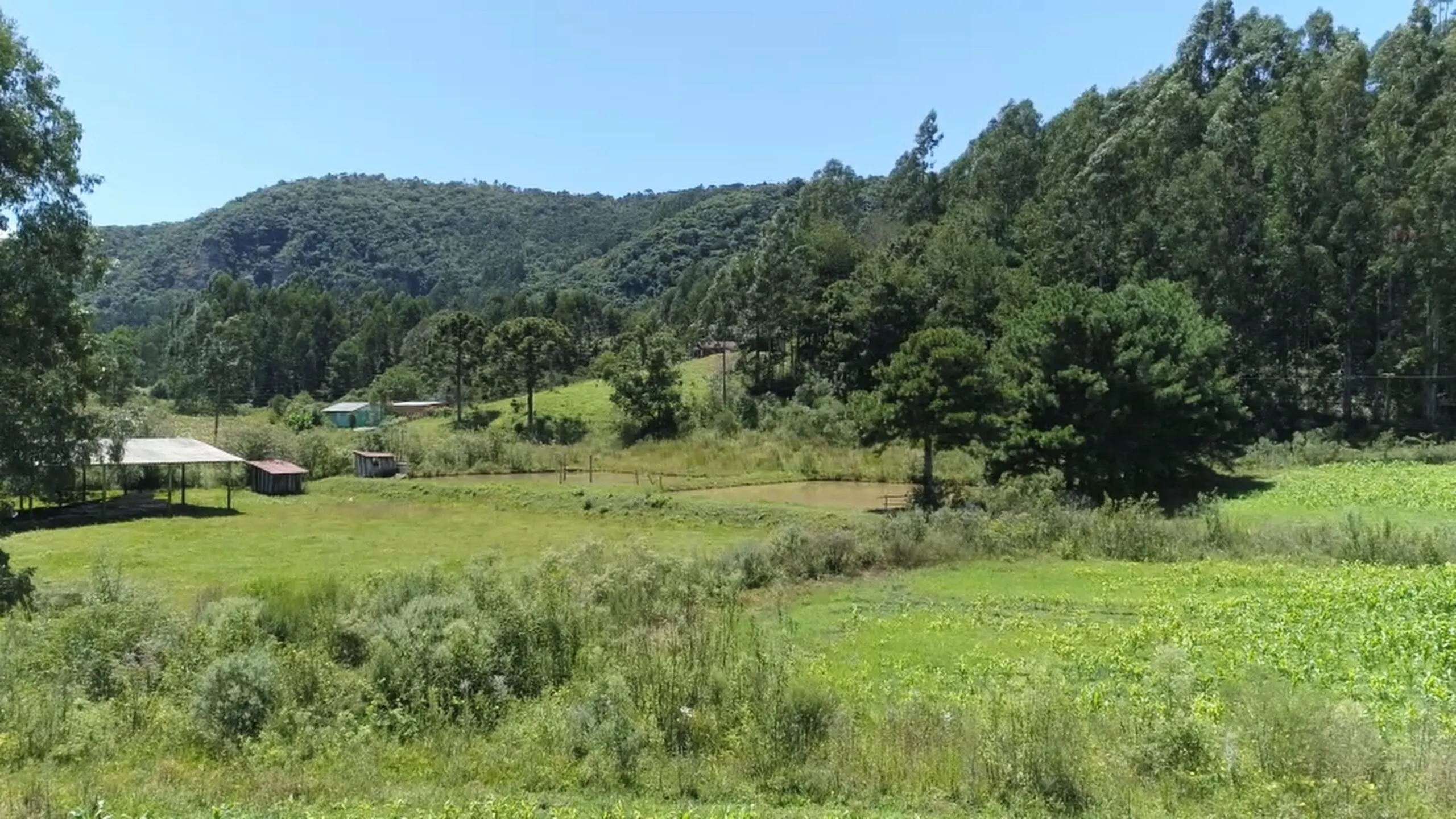 Sítio à venda de 5 ha em Urubici, SC, Brasil