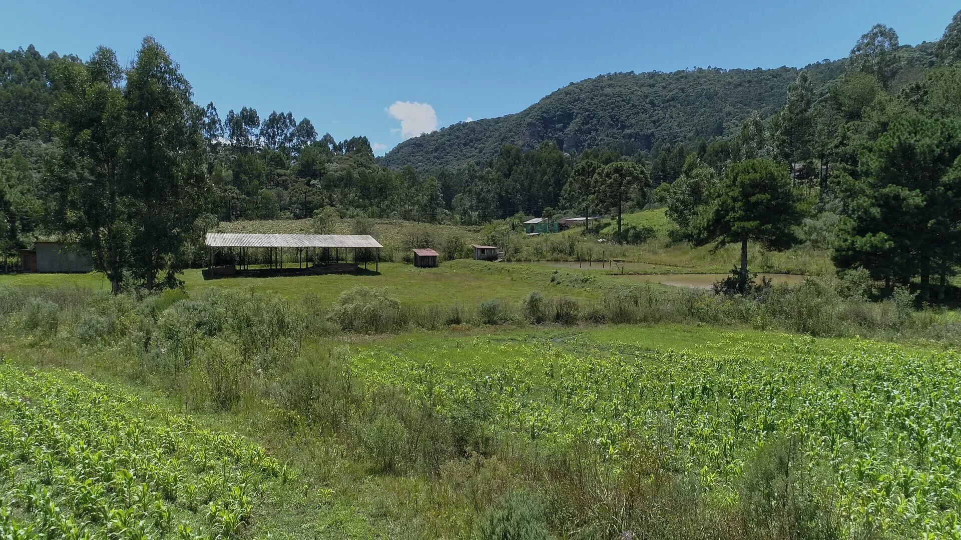 Sítio à venda de 5 ha em Urubici, SC, Brasil