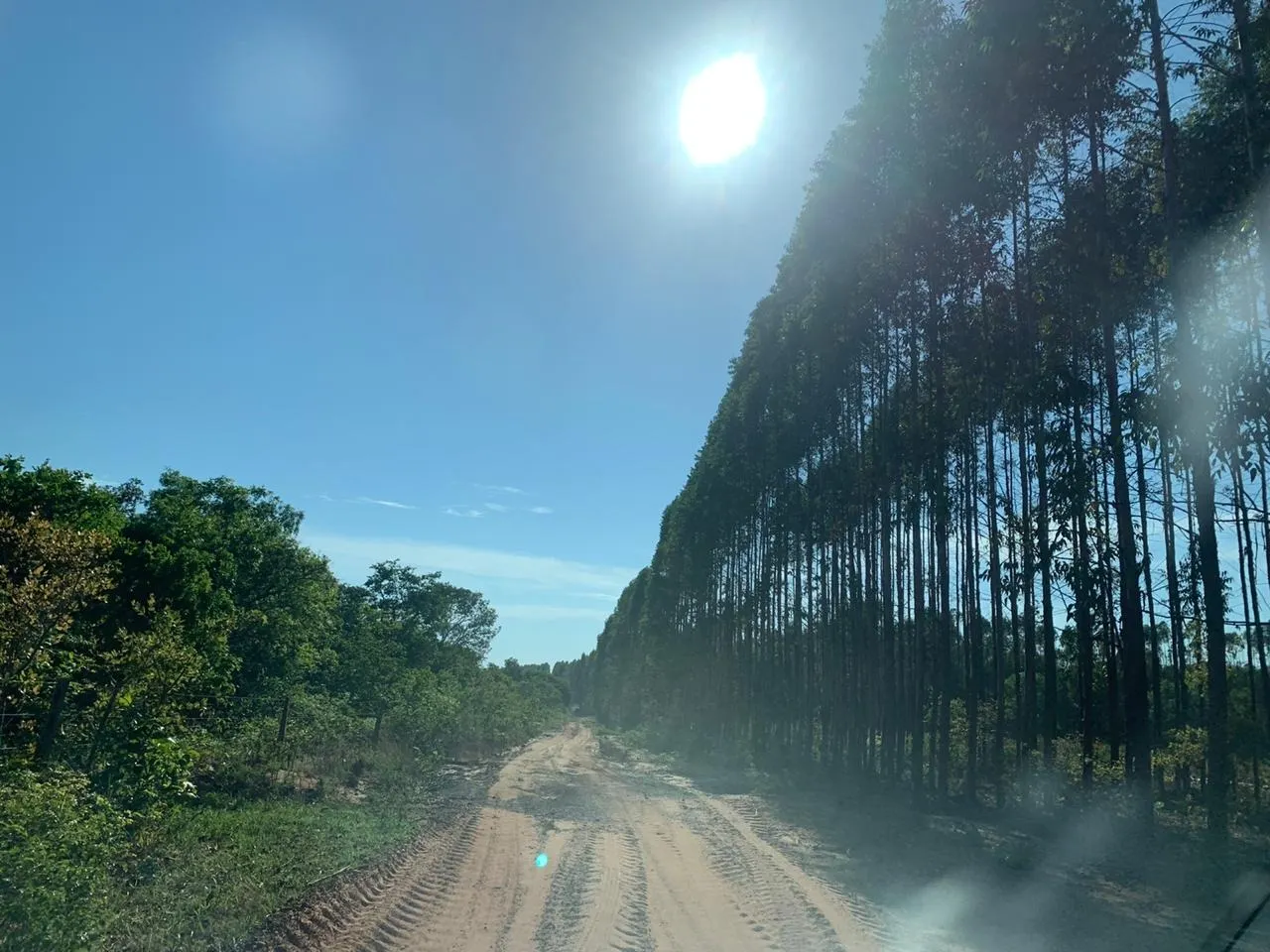 Fazenda à venda de 14.600 ha em Brasilândia de Minas, MG, Brasil