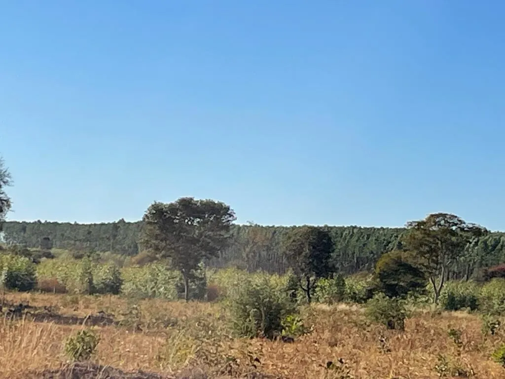 Fazenda à venda de 14.600 ha em Brasilândia de Minas, MG, Brasil