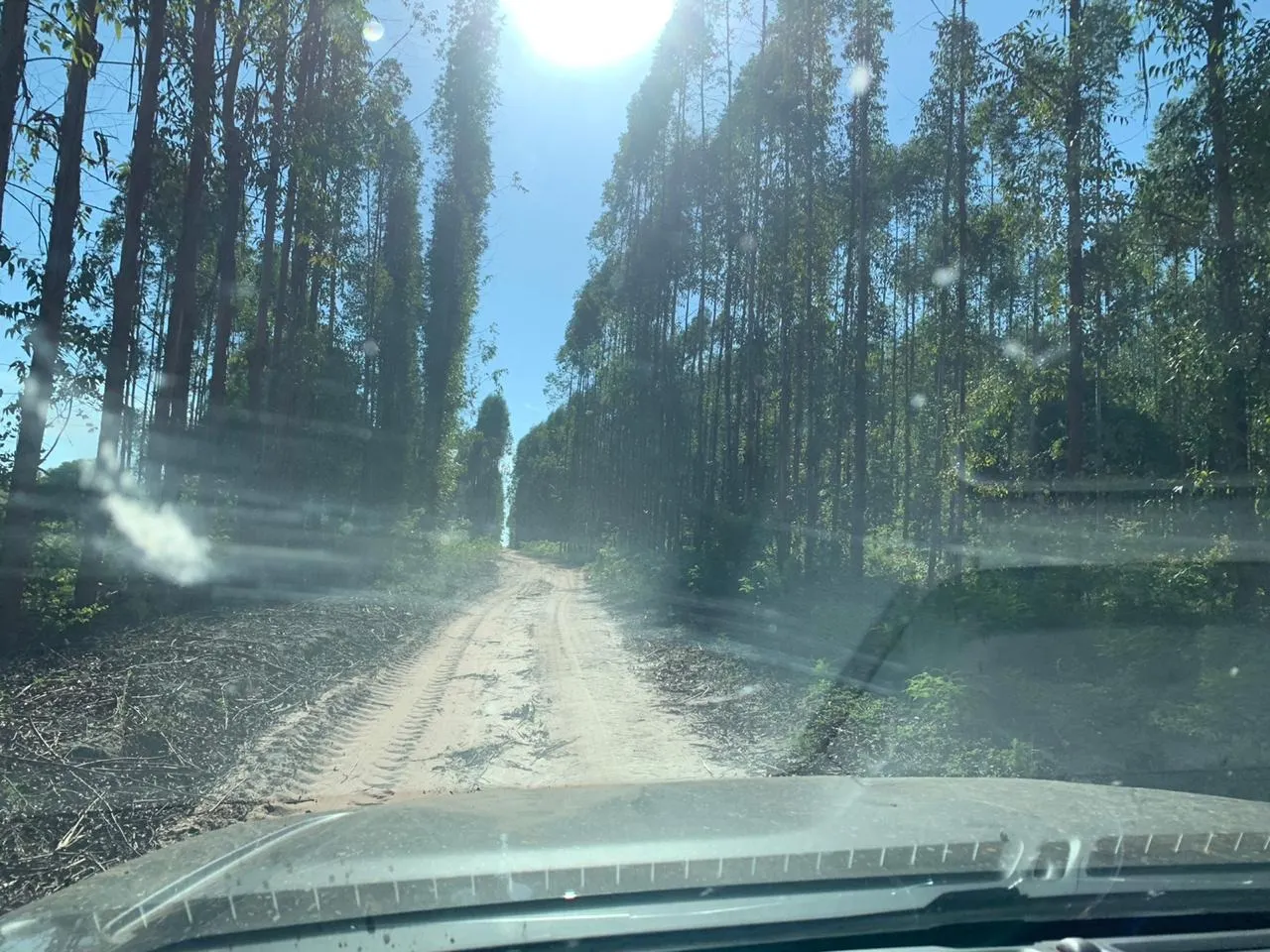 Fazenda à venda de 14.600 ha em Brasilândia de Minas, MG, Brasil