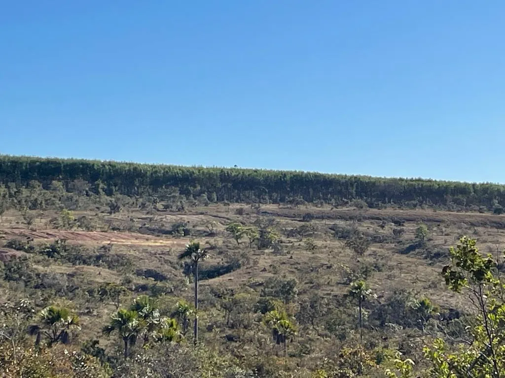 Fazenda à venda de 14.600 ha em Brasilândia de Minas, MG, Brasil