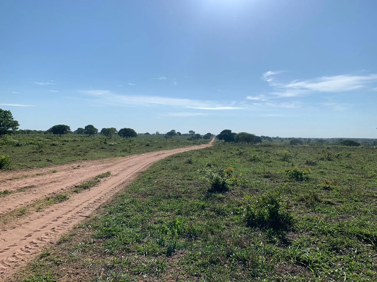 Fazenda à venda de 14.600 ha em Brasilândia de Minas, MG, Brasil