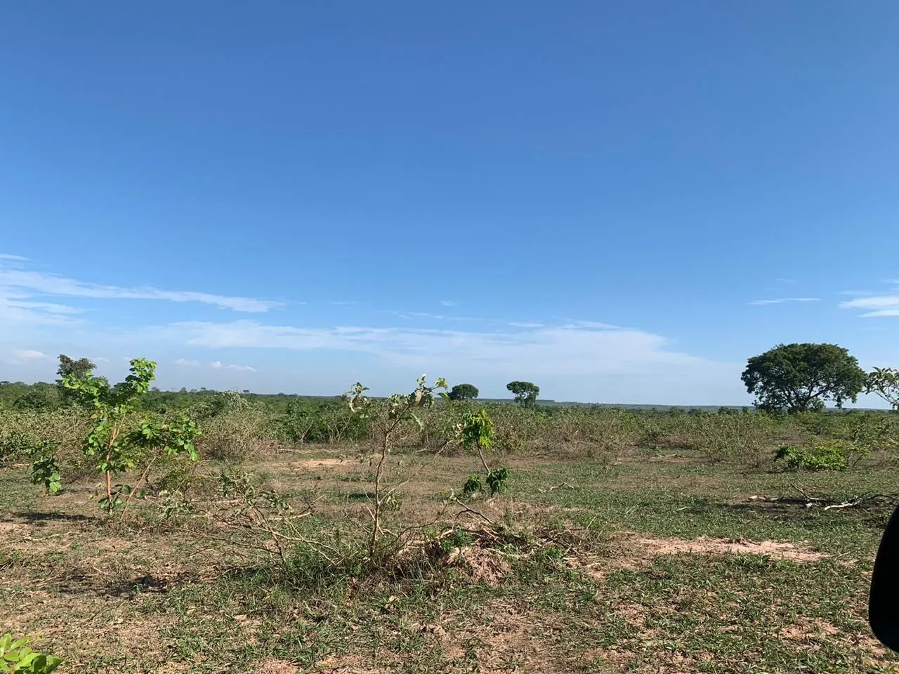 Fazenda à venda de 14.600 ha em Brasilândia de Minas, MG, Brasil