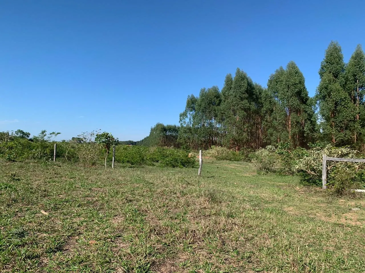 Fazenda à venda de 14.600 ha em Brasilândia de Minas, MG, Brasil