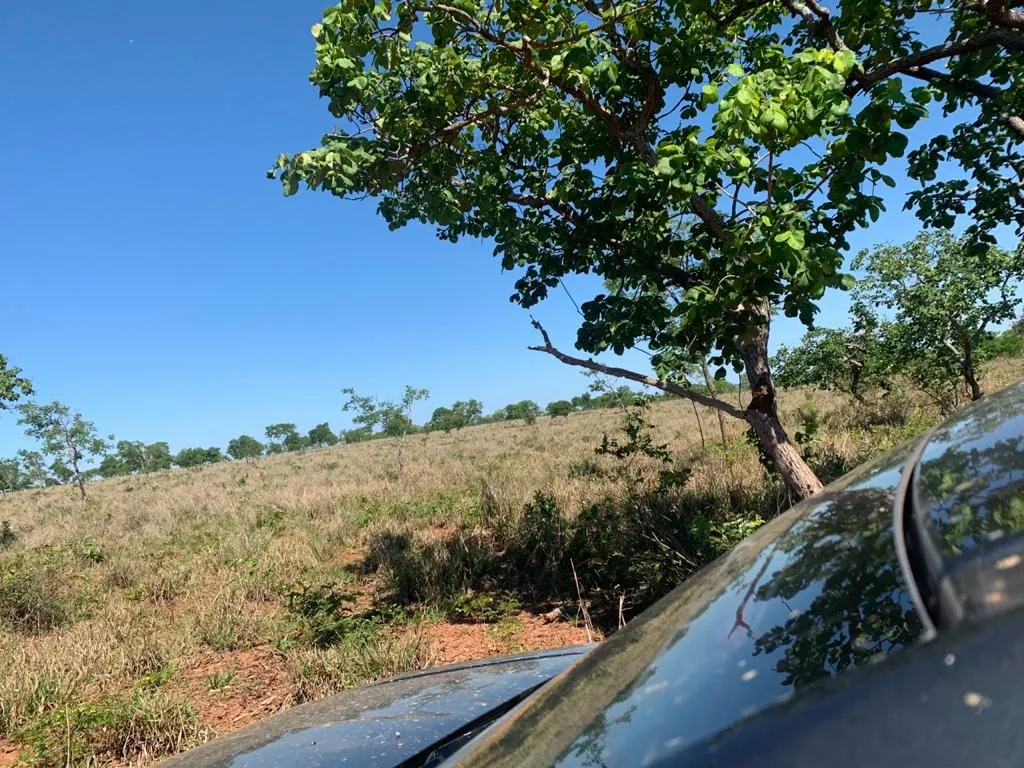 Fazenda à venda de 14.600 ha em Brasilândia de Minas, MG, Brasil