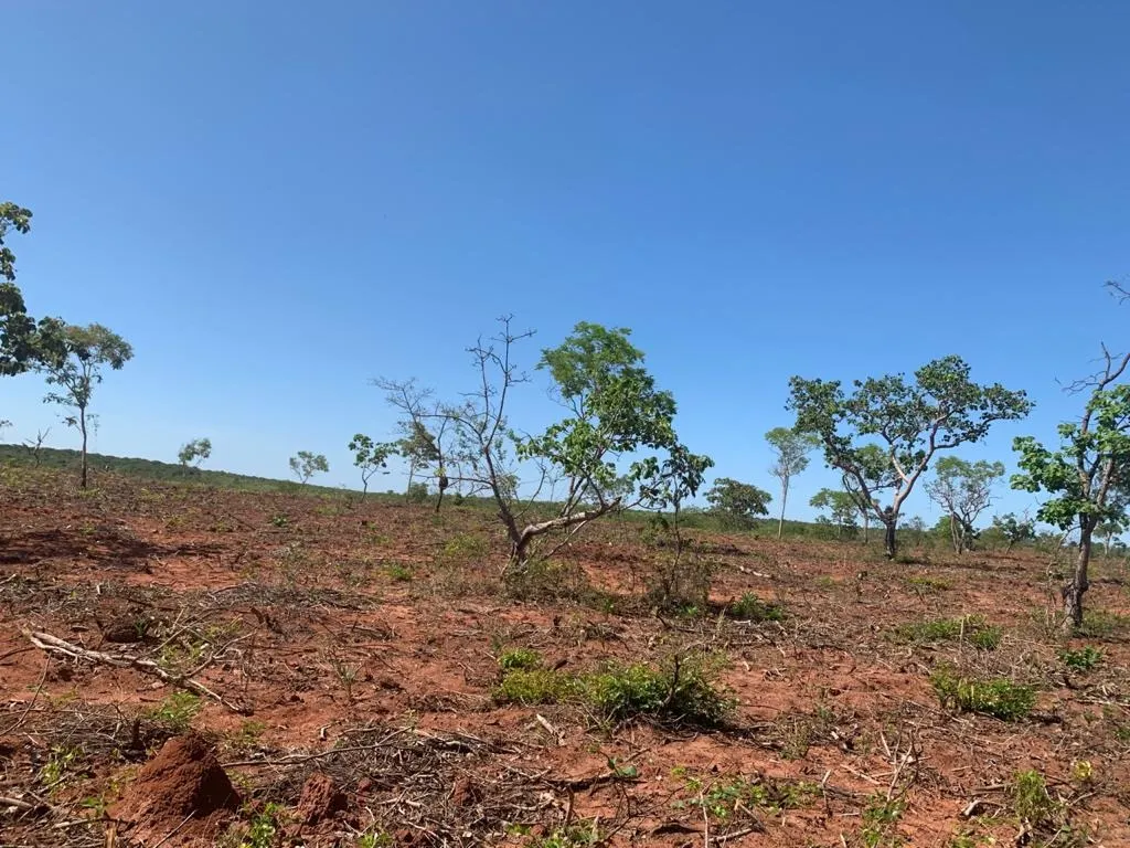 Fazenda à venda de 14.600 ha em Brasilândia de Minas, MG, Brasil
