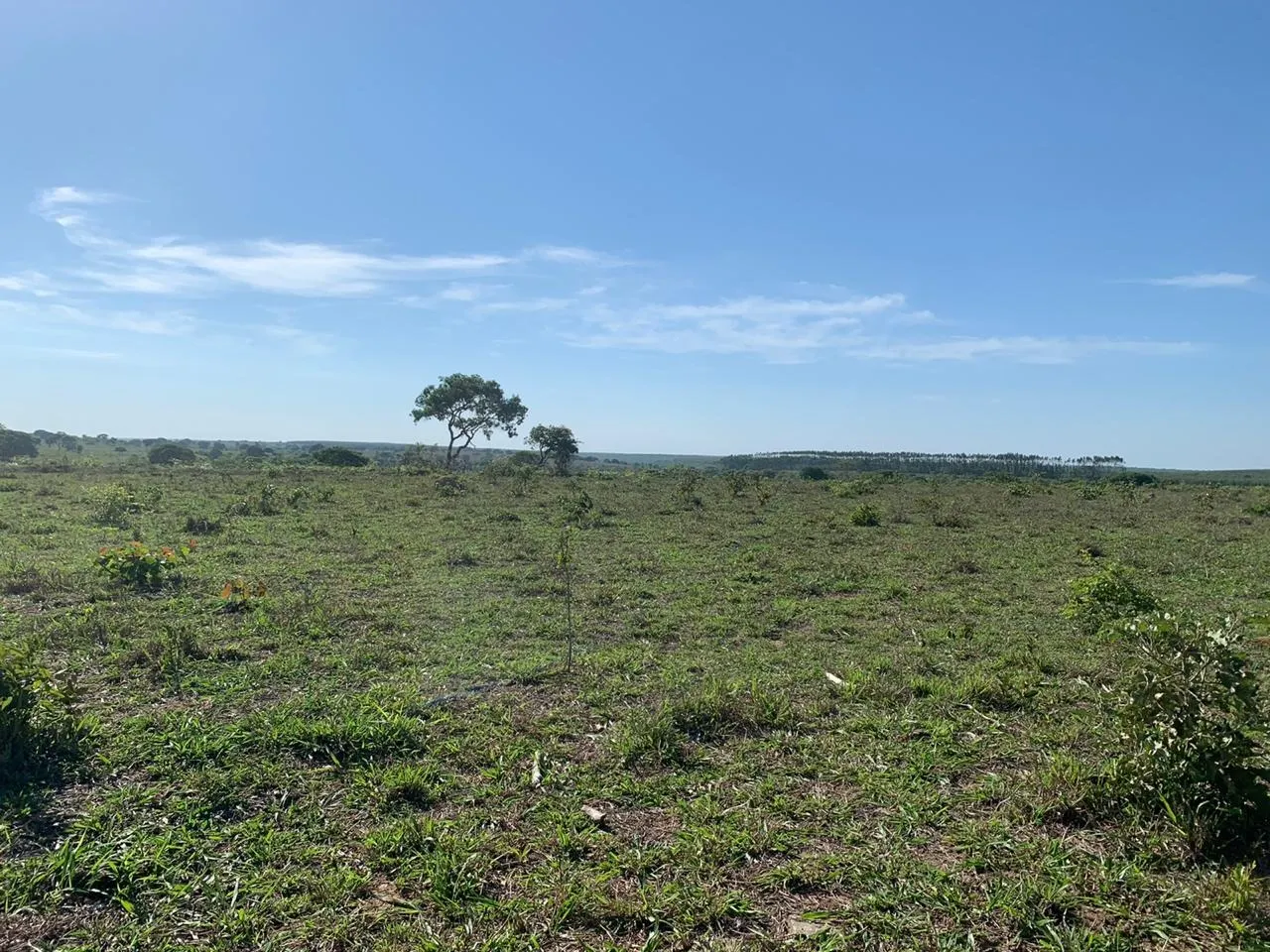 Fazenda à venda de 14.600 ha em Brasilândia de Minas, MG, Brasil
