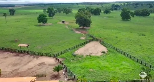 Fazenda à venda de 950 ha em Grajaú, MA, Brasil