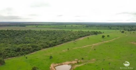 Fazenda à venda de 950 ha em Grajaú, MA, Brasil