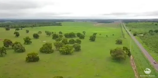 Fazenda à venda de 950 ha em Grajaú, MA, Brasil