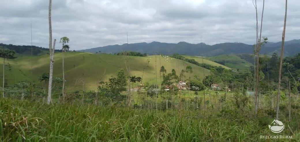 Terreno à venda de 2 ha em Monteiro Lobato, SP, Brasil