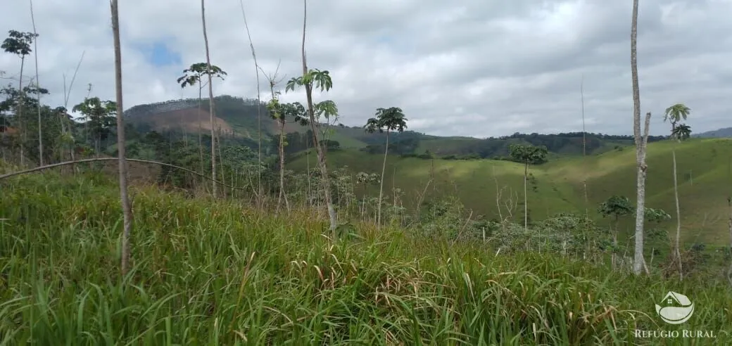Terreno à venda de 2 ha em Monteiro Lobato, SP, Brasil