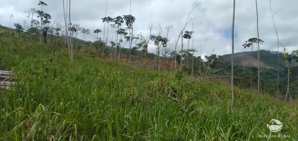 Terreno à venda de 2 ha em Monteiro Lobato, SP, Brasil