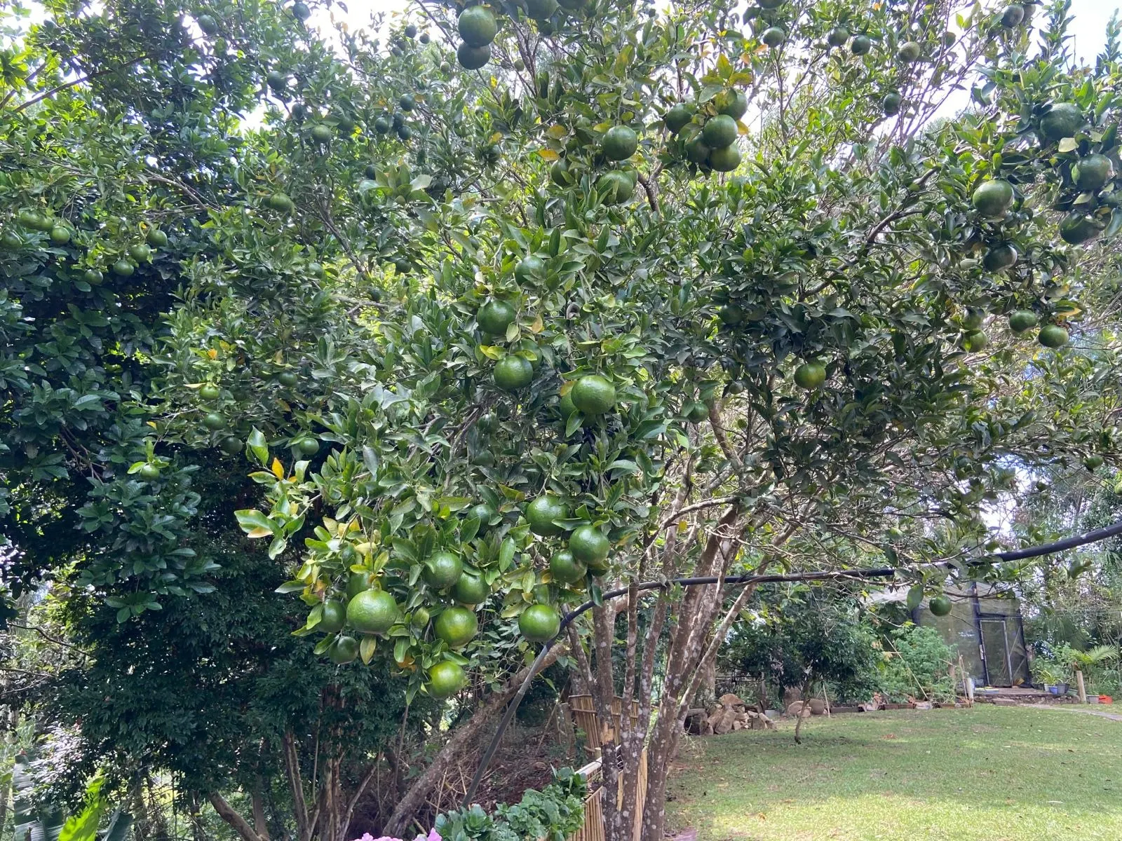 Chácara à venda de 3.260 m² em São José dos Campos, SP, Brasil