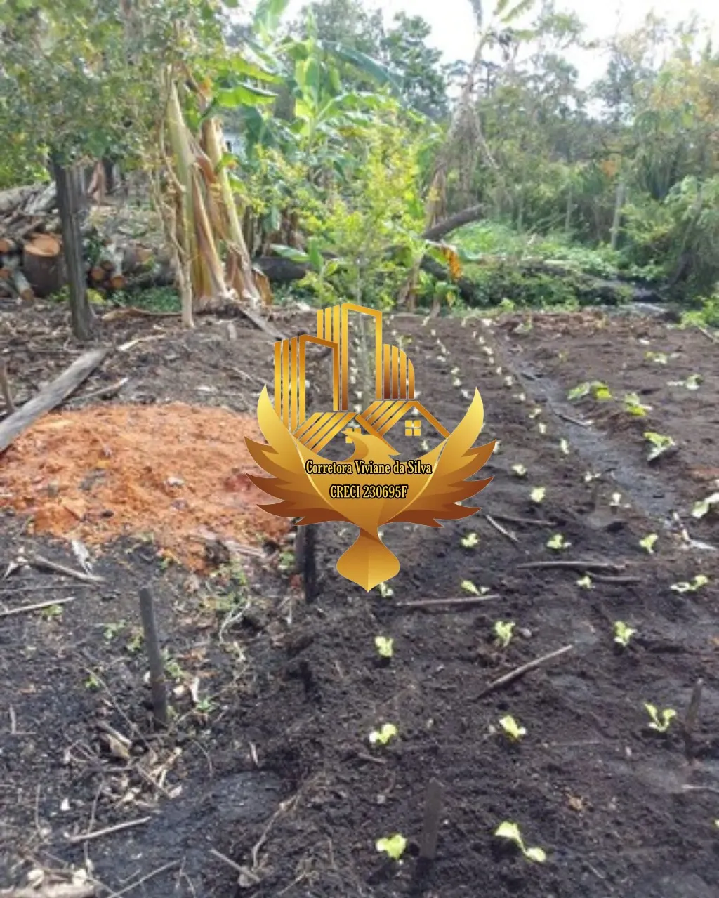 Chácara à venda de 1.500 m² em Caçapava, SP, Brasil